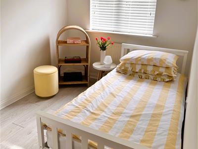 Picture 13